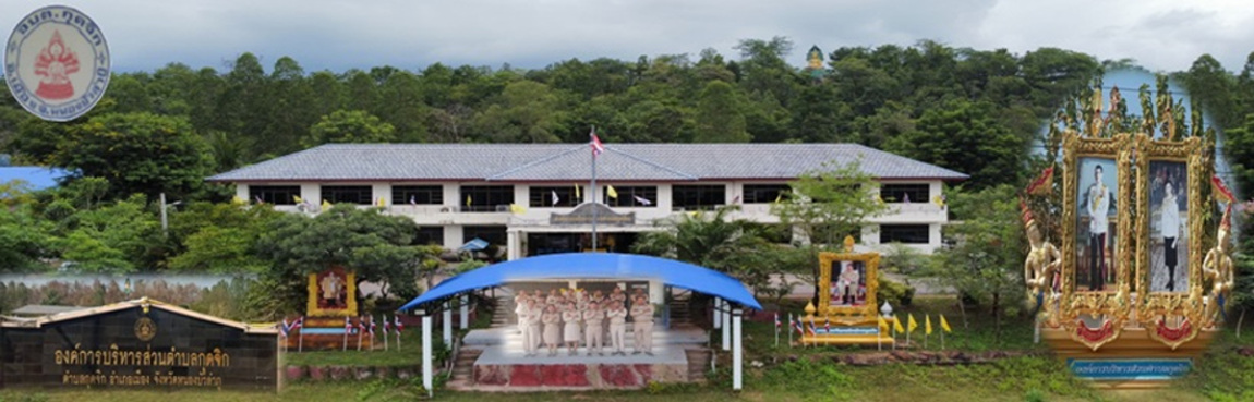 องค์การบริหารส่วนตำบลกุดจิก